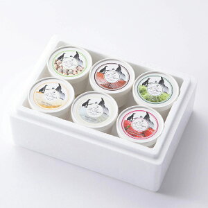 【ル・フォワイエ】虹色アイス 6個(ロイヤルバニラ・クリーミーピスタチオ・ナチュラルストロベリー・リッチ抹茶・ヨーロピアンショコラ・ピュアバナナ) / アイスクリーム 詰め合わせ ギ