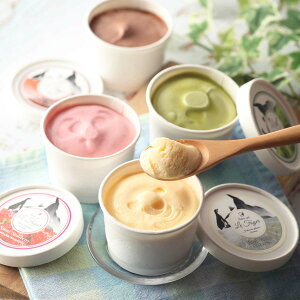 【ル・フォワイエ】虹色アイス 12個(ロイヤルバニラ・クリーミーピスタチオ・ナチュラルストロベリー・リッチ抹茶・ヨーロピアンショコラ・ピュアバナナ) / アイスクリーム 詰め合わせ ギ