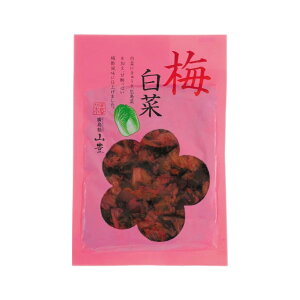 �y�R�L�z�~���� 100g / �L�� �Е� �Ѝ� �L���� ���Y ���� ����