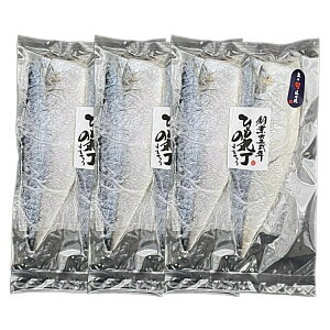 yYz^΃tB[ 2×3pbN Eۗܕt /  Y ܂ B Ⓚ I To Ђ  i