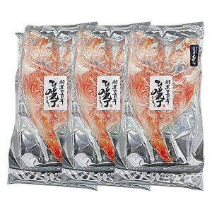 Gg[P1010/24-27! yYzJ 1×3pbN Eۗܕt /  Y ܂ B Ⓚ Ђ  i