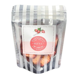 Gg[P10I12/4 20:00-12/11 1:59 yEnsembleszYhC܂ hCXgx[ 30g / hCt[c ʌ  uh  v~A Y SI茠