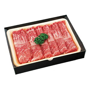 y(V{Y)zA4NEŐԐg؂ 500guMtgpv /  јa  Mtg 蕨 Y Ă Ԃ { A4N