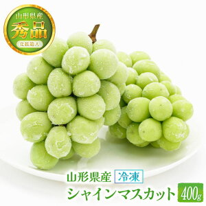 yV{zϔⓀVC}XJbg 1[ 400g / t[c ʕ Mtg 蕨 Y R` Ⓚ t[c ƒp }XJbg