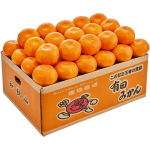 Gg[P10I12/4 20:00-12/11 1:59 2025N ~Mtg Ε a̎RY Lc݂ Q13-3A iԍ1092