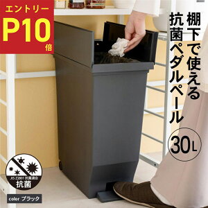 Gg[P1011/4-11 R[iIWi LIFELEX IŎgy[ 30L ubN Rێdl^S~ _Xg{bNX y_ LX^[t fXNTCh rO CtbNX 