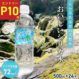 ★エントリー P10 1/9 20:00-1/16 1:59 ★ おいしいシリカ水 500ml×24本 1ケース 配送無料 / ミネラルウォーター 500ml のむシリカ 水 500ml のむシリカ ナチュラルミネラルウォーター シリカ水 備蓄水