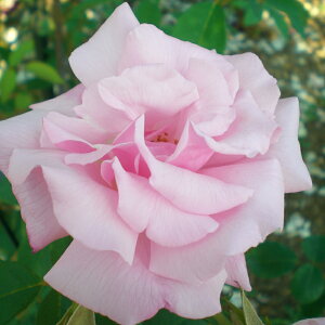 yJ_z oc 2N劔c LX[nbv  4 ەكJbv炫