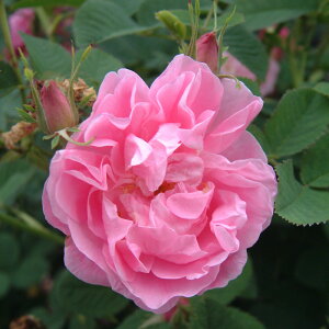 yJ_z oc 2N劔c T _}XPi gMeBy^ I[h[Y 4 d炫