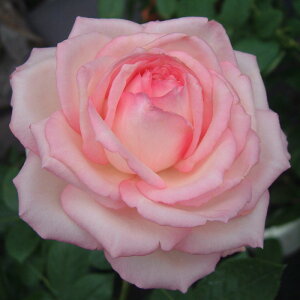 yJ_z oc 2N劔c I[i[hDoUbN  4 ەٕ炫 S҂փIXX