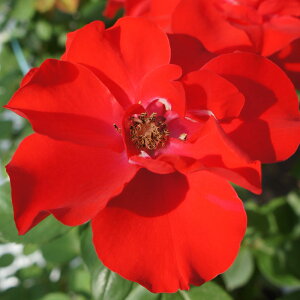 yJ_z oc 2N劔c OXAoCG  4 ەٕ炫 S҂փIXX