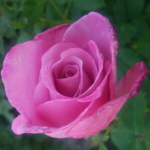 yJ_z oc 2N劔c tOgv  4 ٍc炫