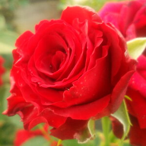 yJ_z oc 2N劔c bhuJbg  4 ۀd炫