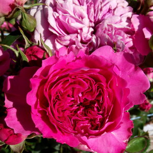 Gg[P10I12/4 20:00-12/11 1:59 yJ_z oc 2N劔c olX  4 [bg炫