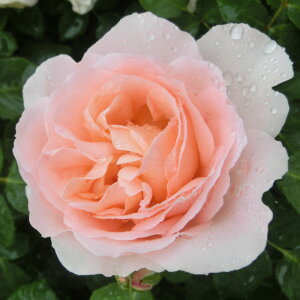 yJ_z oc 2N劔c NAlbTX  4 Jbv炫 S҂փIXX