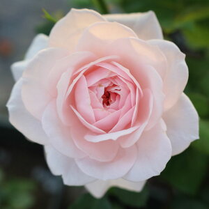 yJ_z oc 2N劔c A[xX  4 ەك[bg炫 S҂փIXX