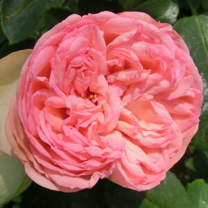 Gg[P10I12/4 20:00-12/11 1:59 yJ_z oc 2N劔c `[~OsAm  4 NH[^[[bg炫