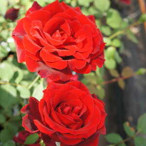 yJ_z oc 2N劔c GWFbh  4 ٍ炫 S҂փIXX