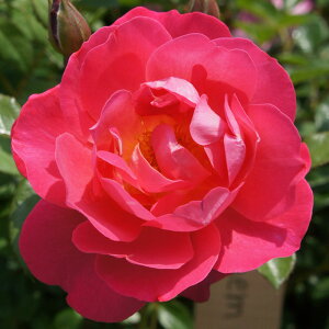 yJ_z oc 2N劔c ~wyo[g  4 Jbv炫