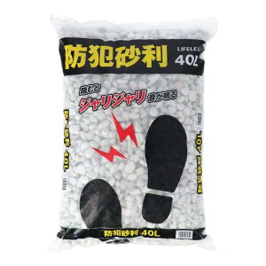 Gg[P1011/20 20:00-11/27 1:59 R[iIWi LIFELEX CtbNX hƍ 40L / R[i