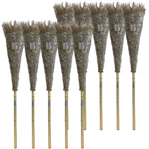 ��10%OFF�N�[�|���I5/9 20:00-5/16 1:59�� �y�܂Ƃߔ���z�~�Y�L ���I�|� 5�i×10�{ / �͂��|�� �|�ق��� ����