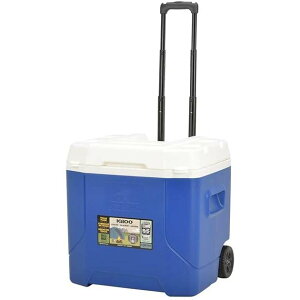 igloo �C�O���[ �ނ� �N�[���[�{�b�N�X �v���t�@�C�� 54 ���[���[ 51L 00034476 �u���[ 51180