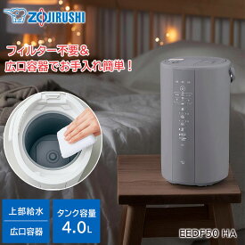 象印 スチーム式加湿器 4L EEDF50 HA / お手入れ簡単 フィルター不要 広口容器 生活家電 日用品 乾燥対策 蒸気式 eedf50-ha 4リットル zojirushi 加湿器