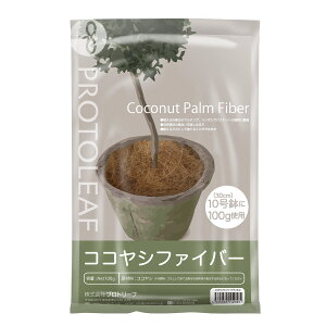 vg[t PROTOLEAF RRVt@Co[ i` 1 100g