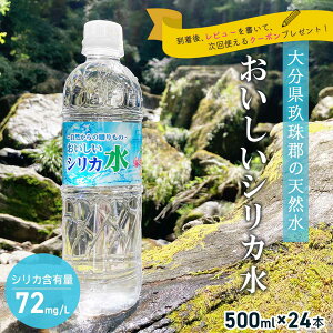 N[|zzI11/1聚 VJ 500ml×24{ 1P[X z / ~lEH[^[ 500ml ̂ރVJ  500ml ̂ރVJ i`~lEH[^[ VJ ~