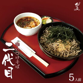 二代目 辛いつけそば用 生そば セット 5人前 蕎麦 そば ソバ 生蕎麦 肉蕎麦 つけ麺 麺 つけ蕎麦 山形 そば処ひふみ 送料無料 ご当地グルメ お取り寄せグルメ 寒河江 ひふみ 贈り物 プレゼント ギフト