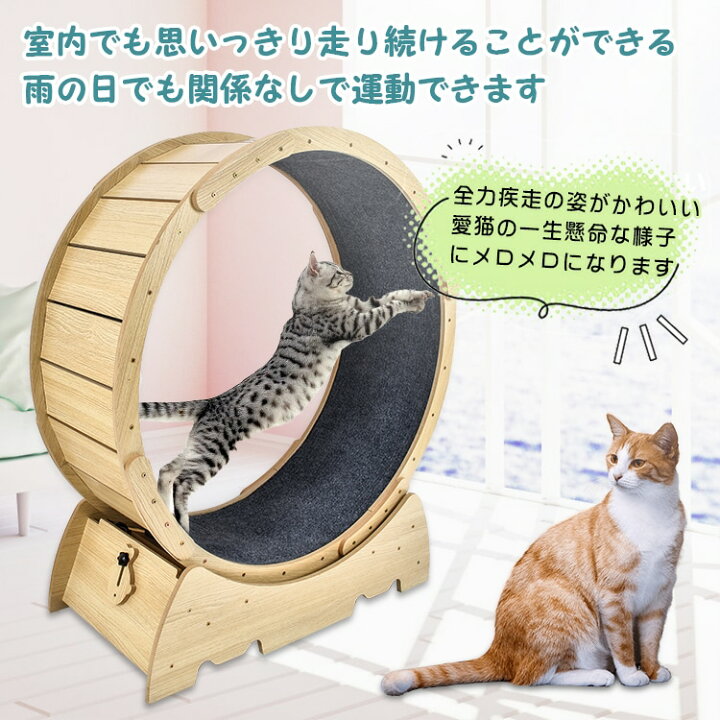 楽天市場】送料無料 キャットホイール 話題のネコ専用ルームランナー 