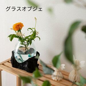 OXIuWF VR̗  KX OXIuWF KXIuWF IuWF KX  _ eE ANAE Ԋ fBXvC KX t[|bg 썑 t[x