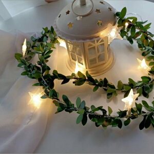 LEDCg \[[[d t[K[hCg Cg K[h  Cxg \[[Cg 