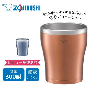 ۈ  XeX^u[ SX-DN30 ۈ󐅓 300ml ܂قт\  a r[ ۗۉ v[g ̓ ̓ i [J[ۏؑΉ sǑΉ [J[l
