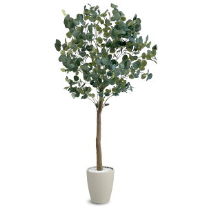 G} tFCNO[ [J tFCNO[ ^ ϗtA  A  t xW~  CeA  傫  VR A[g ͂Ȃ sv 