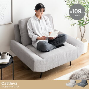 yr[Tzy109cmzCattleya 1l|Ch\t@ l|\t@ VO\t@[ RpNg\t@[ \t@`FA \t@[`FA ֎q  IV