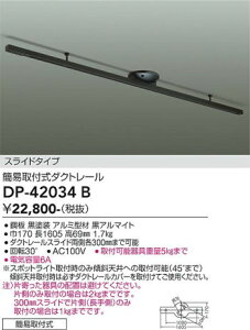 yr[TzDAIKO d@ ȈՎt_Ng[ DP-42034B