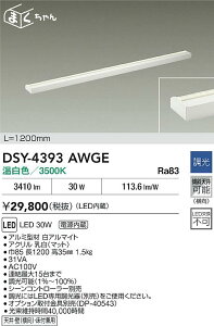 yr[TzDAIKO d@ DSY-4393AWGE ԐڏƖp LED 30W F^3500K Ή\(v݌ɊmF)