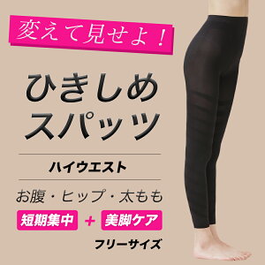 Xpbc Xpbc XL nCEGXgit[TCYj  Ջ p  LbƃqbvAbv