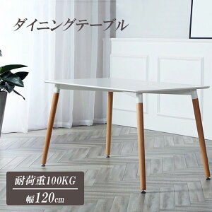 _CjOe[uPi C  k JtFe[u ` He[u 120×80cm 4l| zCg