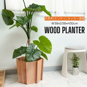 Ebhv^[ v^[ ؐ VR ~fB ꕨ Jo[ ϗtA  CeA CeAG   Vv i` uE