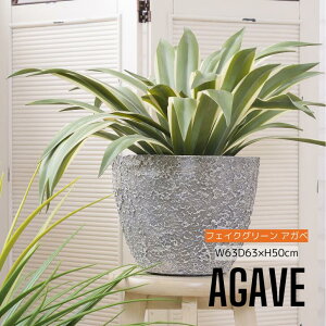 tFCNO[ ϗtA lHϗtA AKx t  CeA  O[ [t  K[f  