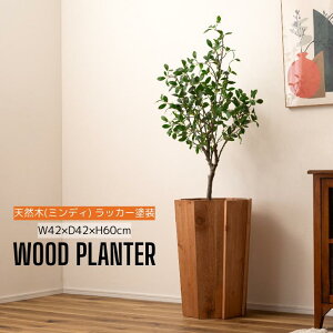 Ebhv^[ v^[ ؐ VR ~fB ꕨ Jo[ ϗtA  CeA CeAG   Vv i` uE