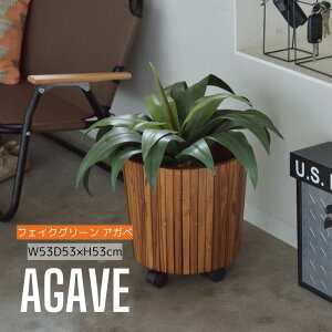 tFCNO[ ϗtA lHϗtA AKx t  CeA  O[ [t  K[f  