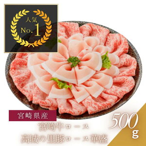 {苍[X ̗؃[Xؐ500g {苍 ̗ [X Ԃ 痿   {茧 qCMXyVsX