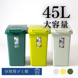 ゴミ箱 ごみ箱 分別用ゴミ箱 コンテナ 大容量 45L ヒイラギ商店楽天市場店 分別用ゴミ箱 カウンター下 縦型 角型 蓋付き プラスチック リビング キッチン