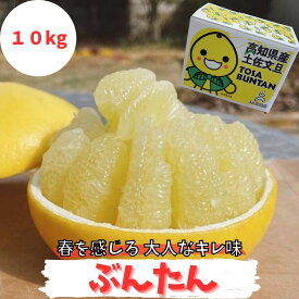 【先行予約】ぶんたん 10kg 〇等級 光センサー JA高知県 とさし 大玉 4L 3L 2L 文旦 送料無料 産地箱 高知産 ぶんちゃん フルーツ 果物　　　　　高知県土佐文旦