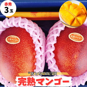 宮崎県産 マンゴー」の人気商品一覧・価格比較 - 価格.com