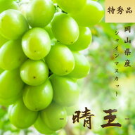【先行予約】シャインマスカット 晴王 岡山県産 特秀 700g 選べる容量 1房 6房 大房 送料無料 ギフト 贈…