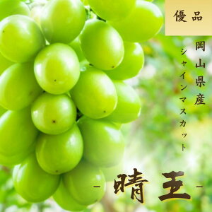 ys\zVC}XJbg  RY 󂠂 Iׂe 1kg 1.2kg 2kg Di  Mtg p 䒆 Ε hV̓  Ԃǂ uhE v[g  j 䋟 ʕ 